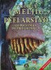 pcelarstvo-2.jpg