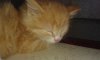 20140526_182345.jpg