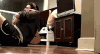 anigif_enhanced-8195-1404932699-1.gif