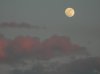 DSCN05890.jpg