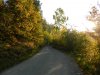 DSCN34079.jpg