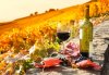 france-vineyard.jpg