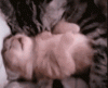 anigif_enhanced-buzz-10081-1366387228-20.gif