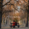 love-in-paris.jpg