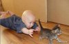 baby-catching-kitten.jpg