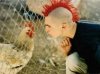 funny-chicken-picture-young-angus-visits-his-mom-in-jail.jpg