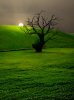 Campo-Andaluz-Andalusian-Countryside.jpg