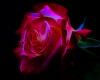 2014-11-10 23.57.07.png
