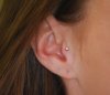 Tragus-piercing-implant-grade-steel.JPG