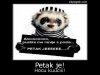 Petak_je__1362135914.jpeg