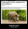 subota-jutro.jpg