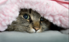 2014-12-03 13.13.47.png