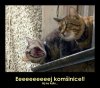 vl-funny-003723.jpg