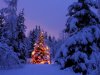 cold-christmas-landscapes-winter_1024x768_25023.jpg