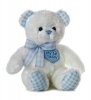 Teddy-Bear-blue-stuffed-animals-32604306-456-500.jpg