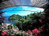 1920103_763200073756117_1988633027936779088_n.jpg