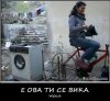 zena.jpg