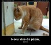 necu-vise-da-pijem.jpg