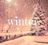 christmas-christmas-decoration-christmas-food-christmas-gifts-Favim.com-2327297.jpg