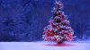 tumblr_static_decorated-christmas-tree.jpg