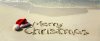 holiday-banner.jpg