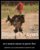 2015-01-08 16.48.32.png
