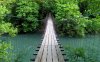Wolf-river-swing-bridge-tn1.jpg