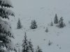 20150127_111142.jpg