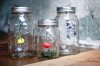 DIY-Hanging-Flower-Mason-Jars-3.jpg