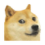 rsz_zz.png