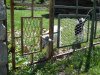 DSCN0370.JPG