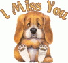 i_miss_you_dog.gif