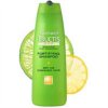 garnier_fructis_fortifying_shampoo-400-400.jpg