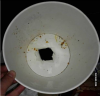 upload_2015-2-18_12-43-41.png