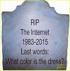 what-color-dress-internet-memes-03.jpg