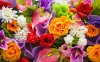 beautiful-flowers.jpg