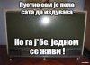 43568-540adb893b85dc5b8b.jpg