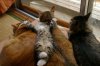 xawwwwnow-i-can-go-to-sleep.jpg.pagespeed.ic.U_2vY9gDtI.jpg