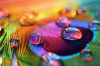 rainbow_colors_by_rustmouth-d3ab0di.png