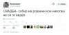 FB_IMG_1426289176162.jpg