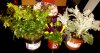 2015-03-14 19.40.32.jpg