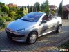 99dbd7_peugeot-206-cc-cabrio-1-6-benzyna-16v-zdjecia.jpg