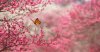 BeautifulNature3-610x320.jpg