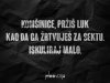 komsinice-przis-luk-kao-da-ga-zrtvujes.jpg