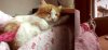 SAM_4260-horz.jpg
