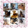 Photo Collage Maker_uDqQ87.png