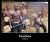 teretana.jpg