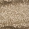 sequin2.jpg