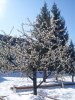 SDC10590.JPG