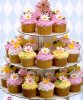 cupcakes01.jpg